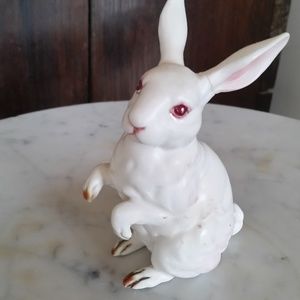 Rabbit